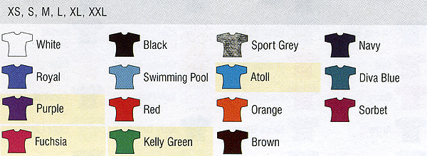 Farben Ladies T-Shirt B&C